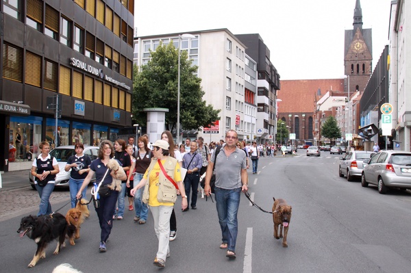 Hunde-Demo   053.jpg